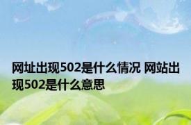 网址出现502是什么情况 网站出现502是什么意思