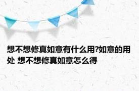 想不想修真如意有什么用?如意的用处 想不想修真如意怎么得