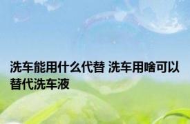 洗车能用什么代替 洗车用啥可以替代洗车液