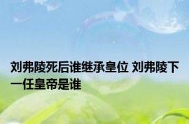 刘弗陵死后谁继承皇位 刘弗陵下一任皇帝是谁