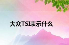 大众TSI表示什么