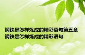 钢铁是怎样炼成的精彩语句第五章 钢铁是怎样炼成的精彩语句