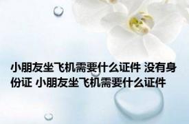 小朋友坐飞机需要什么证件 没有身份证 小朋友坐飞机需要什么证件