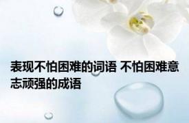 表现不怕困难的词语 不怕困难意志顽强的成语