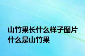 山竹果长什么样子图片 什么是山竹果