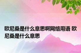 欧尼桑是什么意思啊网络用语 欧尼桑是什么意思