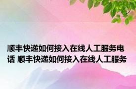 顺丰快递如何接入在线人工服务电话 顺丰快递如何接入在线人工服务