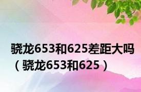 骁龙653和625差距大吗（骁龙653和625）