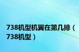 738机型机翼在第几排（738机型）