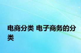 电商分类 电子商务的分类