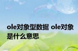 ole对象型数据 ole对象是什么意思