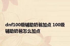 dnf100级辅助奶爸加点 100级辅助奶爸怎么加点