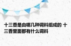 十三香是由哪几种调料组成的 十三香里面都有什么调料