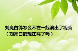 刘亮白鸽怎么不在一起演出了视频（刘亮白鸽现在离了吗）