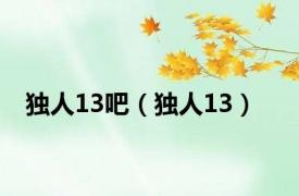 独人13吧（独人13）