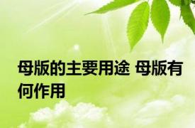 母版的主要用途 母版有何作用