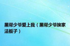 黑帮少爷爱上我（黑帮少爷挨家法板子）