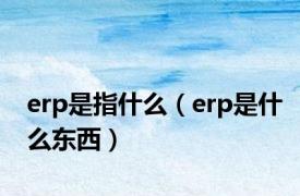 erp是指什么（erp是什么东西）