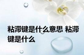 粘滞键是什么意思 粘滞键是什么