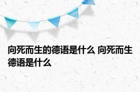 向死而生的德语是什么 向死而生德语是什么