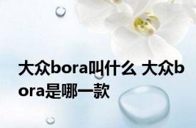 大众bora叫什么 大众bora是哪一款