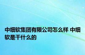 中细软集团有限公司怎么样 中细软是干什么的