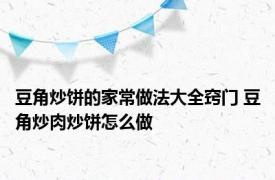 豆角炒饼的家常做法大全窍门 豆角炒肉炒饼怎么做