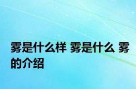 雾是什么样 雾是什么 雾的介绍