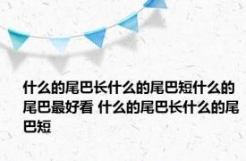 什么的尾巴长什么的尾巴短什么的尾巴最好看 什么的尾巴长什么的尾巴短