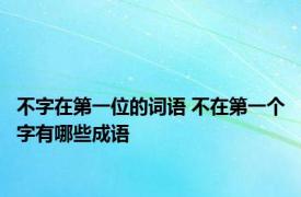 不字在第一位的词语 不在第一个字有哪些成语