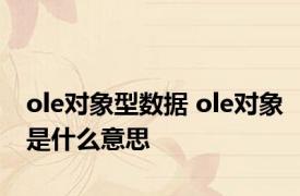 ole对象型数据 ole对象是什么意思