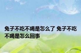 兔子不吃不喝是怎么了 兔子不吃不喝是怎么回事