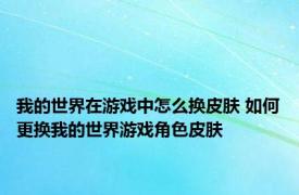 我的世界在游戏中怎么换皮肤 如何更换我的世界游戏角色皮肤