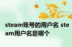 steam账号的用户名 steam用户名是哪个