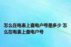 怎么在电表上查电户号是多少 怎么在电表上查电户号