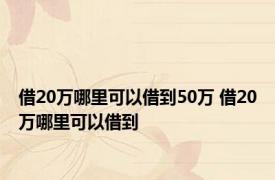 借20万哪里可以借到50万 借20万哪里可以借到