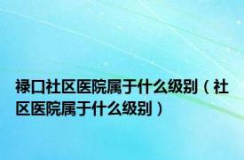 禄口社区医院属于什么级别（社区医院属于什么级别）