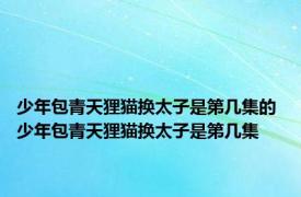 少年包青天狸猫换太子是第几集的 少年包青天狸猫换太子是第几集