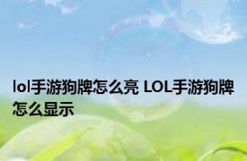 lol手游狗牌怎么亮 LOL手游狗牌怎么显示