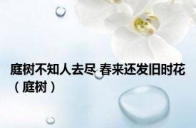 庭树不知人去尽 春来还发旧时花（庭树）