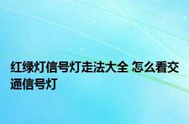 红绿灯信号灯走法大全 怎么看交通信号灯