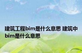 建筑工程bim是什么意思 建筑中bim是什么意思