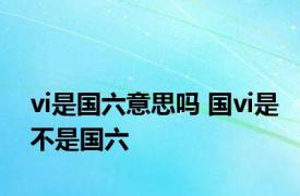 vi是国六意思吗 国vi是不是国六