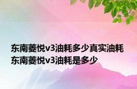 东南菱悦v3油耗多少真实油耗 东南菱悦v3油耗是多少