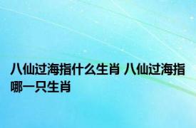 八仙过海指什么生肖 八仙过海指哪一只生肖