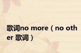 歌词no more（no other 歌词）