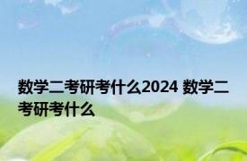 数学二考研考什么2024 数学二考研考什么