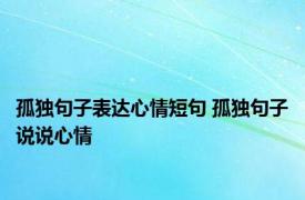 孤独句子表达心情短句 孤独句子说说心情