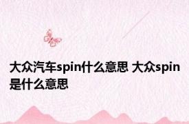 大众汽车spin什么意思 大众spin是什么意思