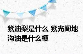 紫油梨是什么 紫光阁地沟油是什么梗